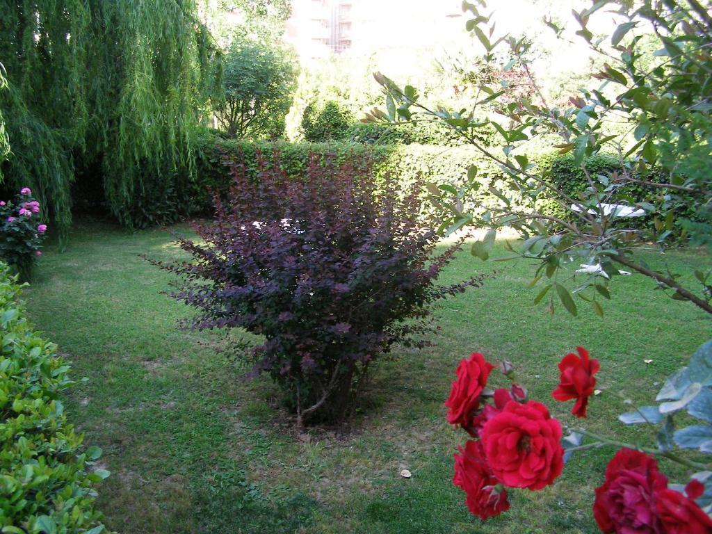 Sevkibey Hotel Алания Экстерьер фото