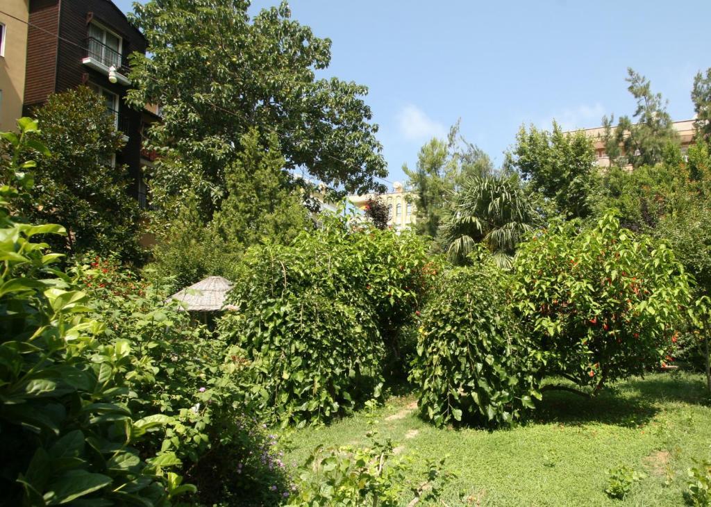 Sevkibey Hotel Алания Экстерьер фото